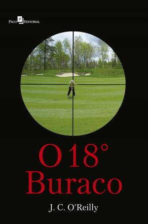 Cover of the book O 18° buraco by Camila Gonçalves de Mario
