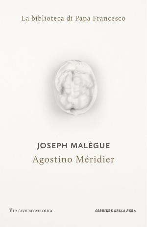 Cover of the book Agostino Méridier by Michel Houellebecq, Stefano Montefiori