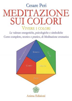 Cover of the book Meditazione sui colori by Annapolis Remote Viewing Group