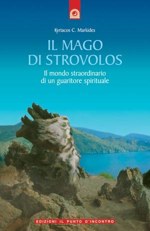 Cover of the book Il mago di strovolos by Yves Cadot