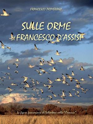Book cover of Sulle orme di Francesco d'Assisi