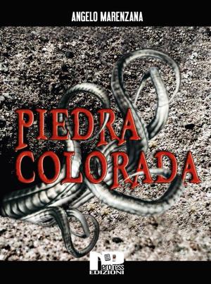 Book cover of Piedra colorada