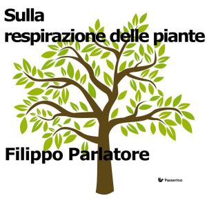 Cover of the book Sulla respirazione delle piante by Lorenzo Vaudo