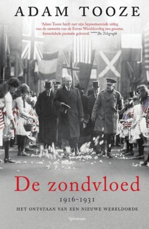 Cover of the book De zondvloed by Lauren DeStefano