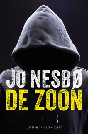 Cover of the book De zoon by Amy Homes