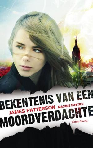 Cover of the book Bekentenis van een moordverdachte by Stefan Hertmans