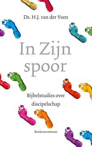 Cover of the book In zijn spoor by J.F. van der Poel