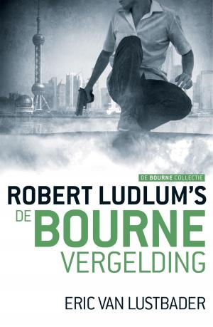 Book cover of De Bourne vergelding