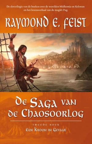 Cover of the book Een kroon in gevaar by Pieter Feller, Natascha Stenvert