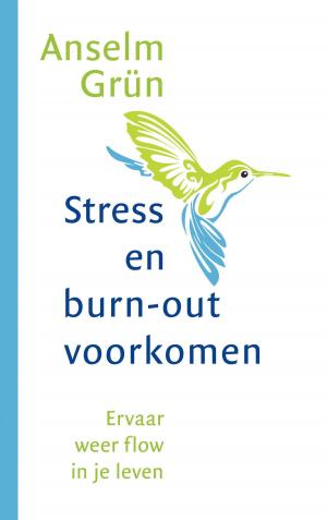 Cover of the book Stress en burnout voorkomen by Luit van der Tuuk