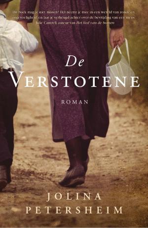 Cover of the book De verstotene by Peggy Ryan Hembree