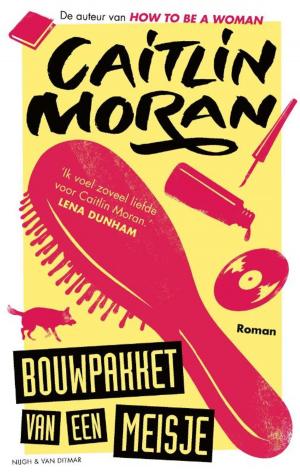 Cover of the book Bouwpakket van een meisje by Maarten 't Hart