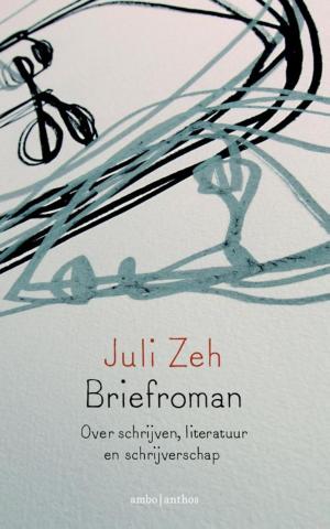 Cover of the book Briefroman by D.K.R. Boyd