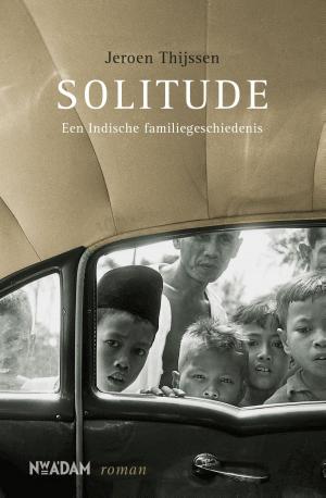 Cover of the book Solitude by Rafael Cardoso