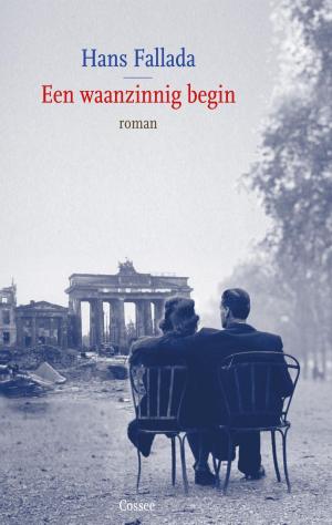 Cover of the book Een waanzinnig begin by Anna Gmeyner