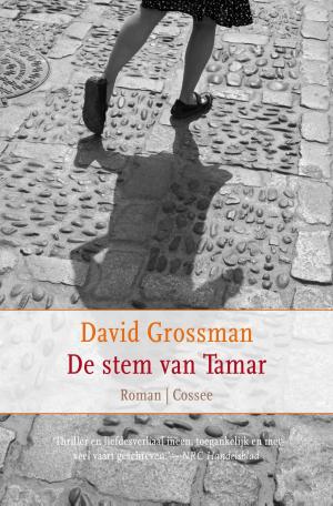 Cover of the book De stem van Tamar by David Grossman