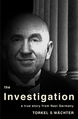 Cover of the book The Investigation by Clare Flynn