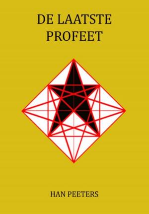 Cover of the book De laatste profeet by Ellen Spee