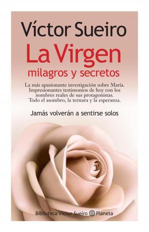 Cover of the book La virgen by Eva P. Valencia