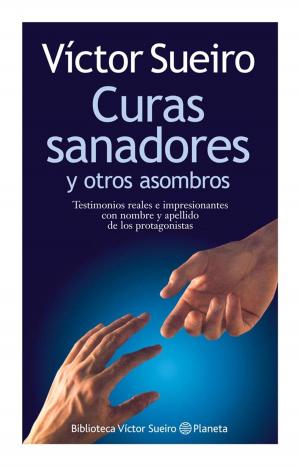 Cover of the book Curas sanadores by Gissela Echeverria Castro