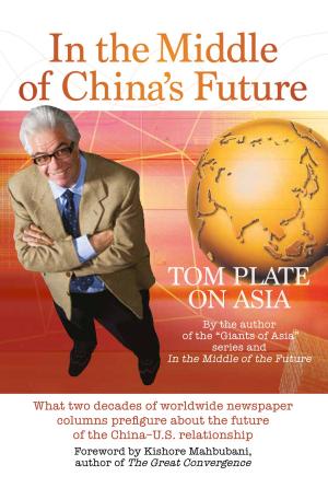 Cover of the book In The Middle of China's Future by Phil Karber