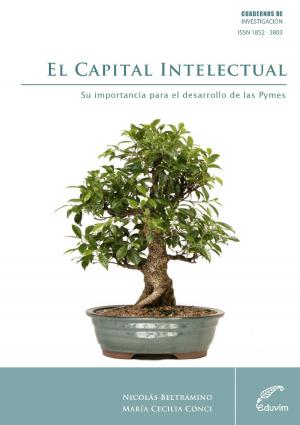 Cover of the book El capital intelectual by Martín Doria