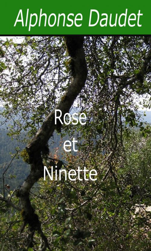 Cover of the book Rose et Ninette by Alphonse Daudet, Largau