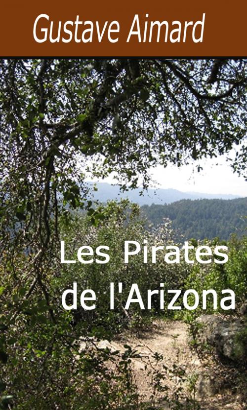 Cover of the book Les Pirates de l'Arizona by Gustave Aimard, Largau