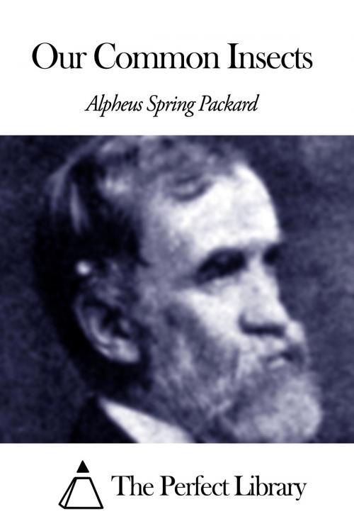 Cover of the book Our Common Insects by Alpheus Spring Packard, The Perfect Library