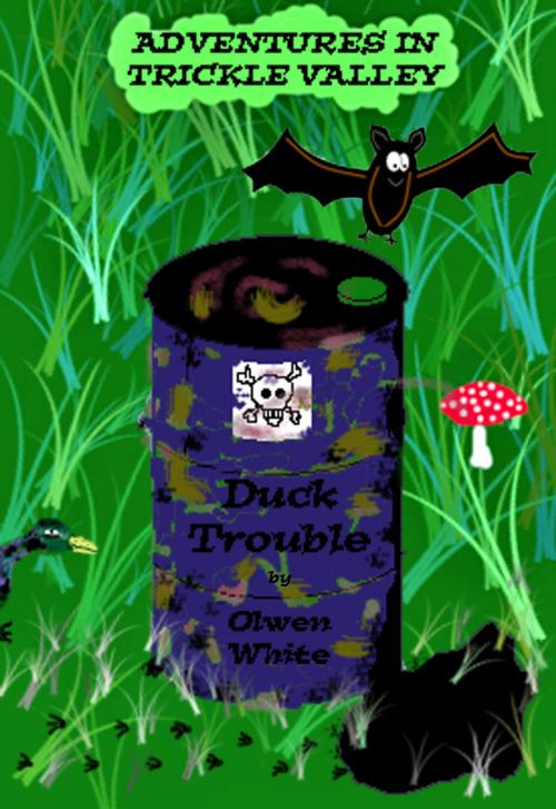 Cover of the book Adventures in Trickle Valley: Duck Trouble by Olwen White, Olwen White