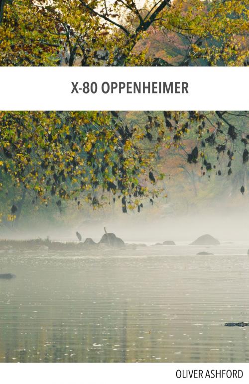 Cover of the book X-80 Oppenheimer by Oliver Ashford, Oliver Ashford