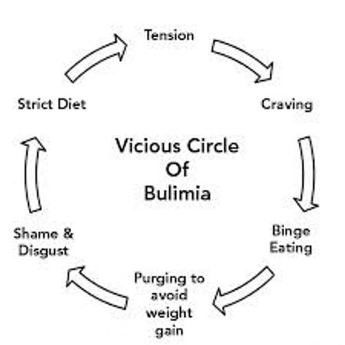 Cover of the book Confronting Bulimia by D Johnson, INSTANT DOWNLOADS
