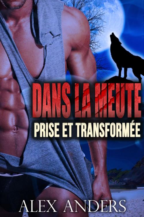 Cover of the book Prise et Transformée by Alex Anders, RateABull Publishing