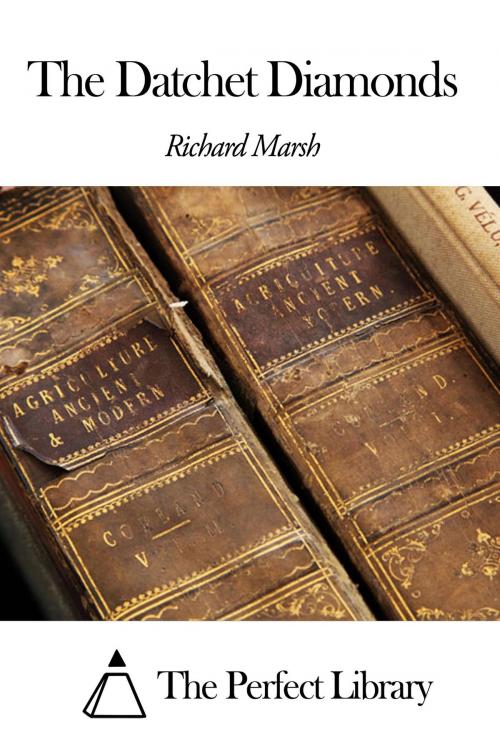 Cover of the book The Datchet Diamonds by Richard Marsh, The Perfect Library