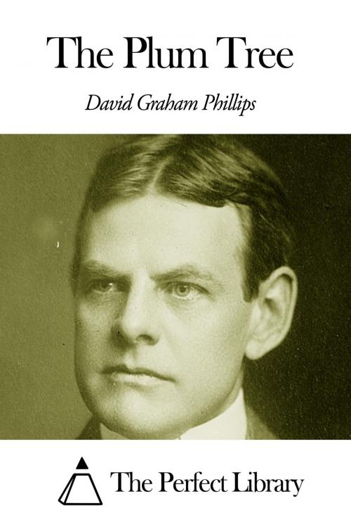 Cover of the book The Plum Tree by David Graham Phillips, The Perfect Library