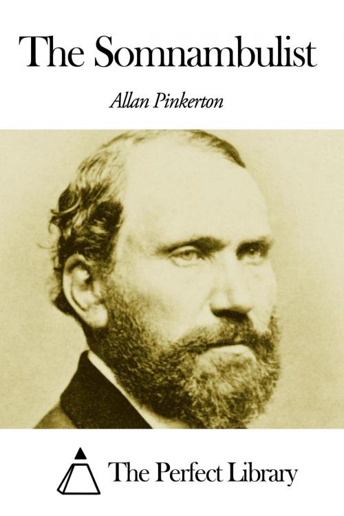 Cover of the book 29 by Allan Pinkerton, The Perfect Library