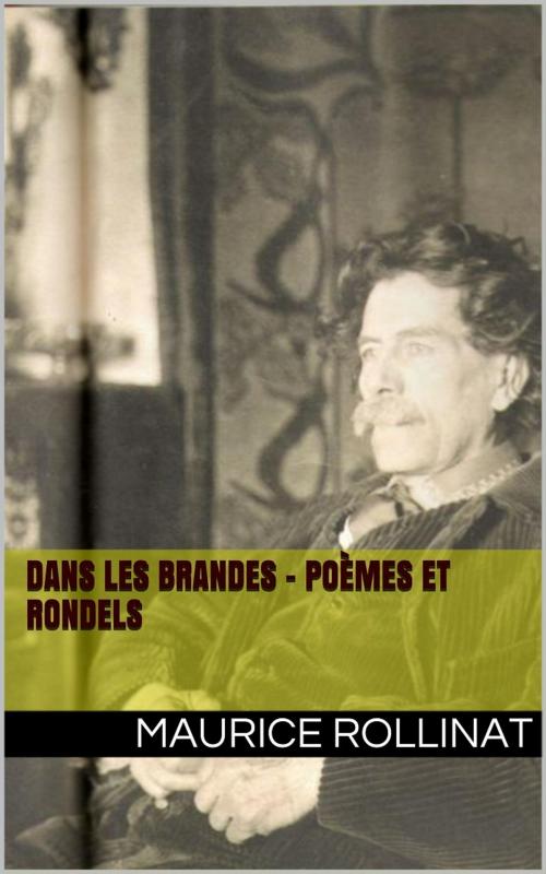 Cover of the book Dans les Brandes - Poèmes et Rondels by Maurice Rollinat, PRB