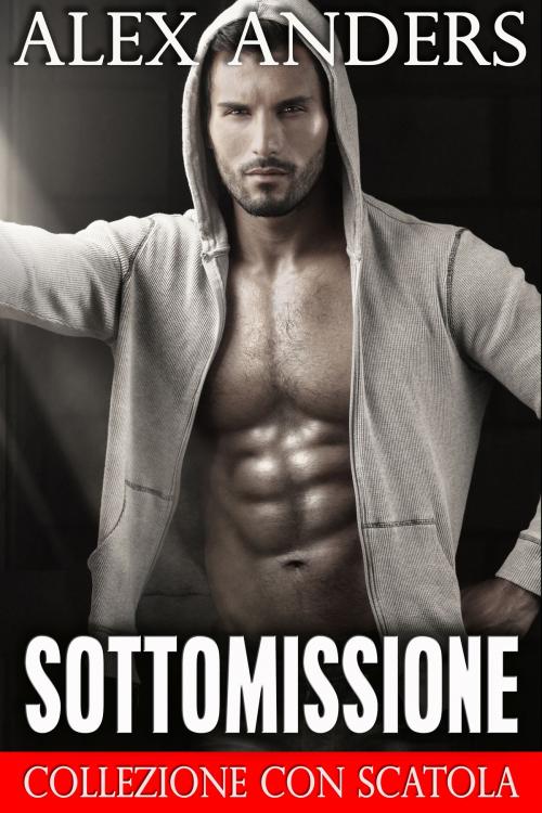 Cover of the book Sottomissione by Alex Anders, RateABull Publishing