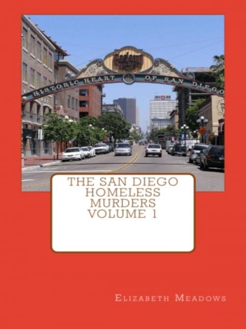 Cover of the book The San Diego Homeless Murders Volume 1 by Elizabeth Meadows, Vince Stead
