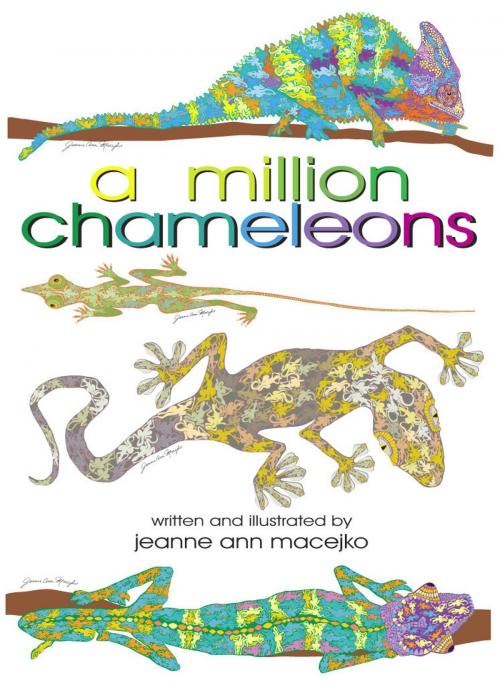 Cover of the book A Million Chameleons by Jeanne Ann Macejko, Shane Murphy Press