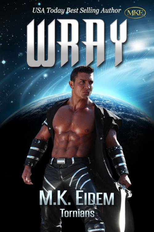 Cover of the book Wray by M.K. Eidem, Turtle Point Publishing, Inc