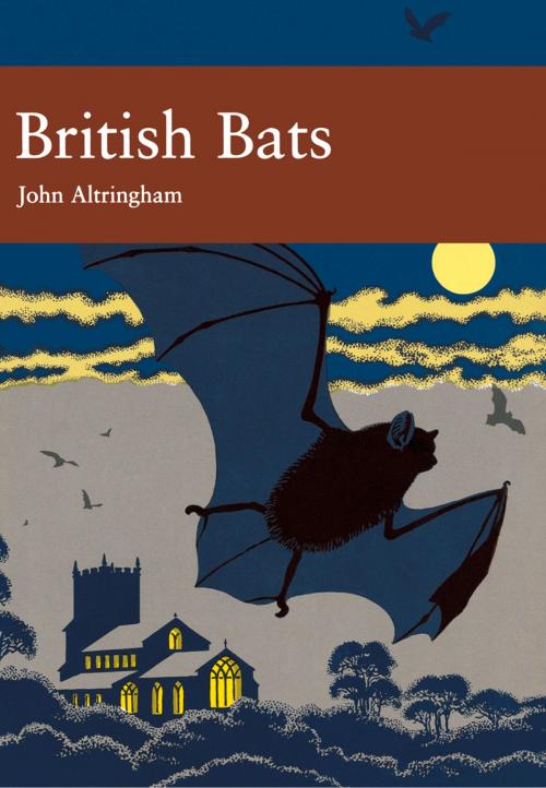 Cover of the book British Bats (Collins New Naturalist Library, Book 93) by John D. Altringham, HarperCollins Publishers