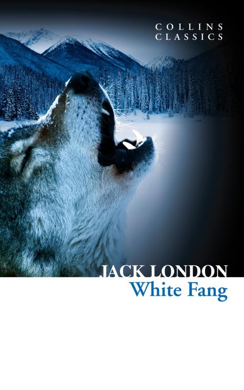 Cover of the book White Fang (Collins Classics) by Jack London, HarperCollins Publishers