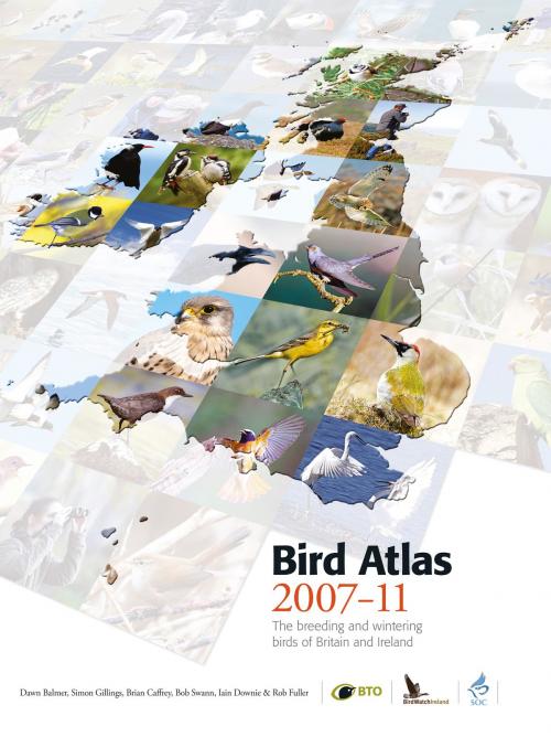 Cover of the book Bird Atlas 2007-11: The Breeding and Wintering Birds of Britain and Ireland by Bob Swann, Simon Gillings, Iain Downie, Brian Caffrey, Rob Fuller, Dawn Balmer, HarperCollins Publishers