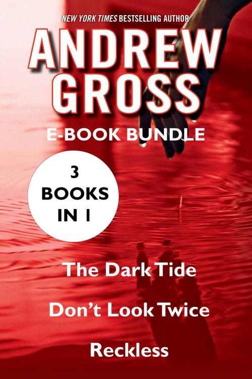 Cover of the book The Andrew Gross by Andrew Gross, HarperCollins e-books