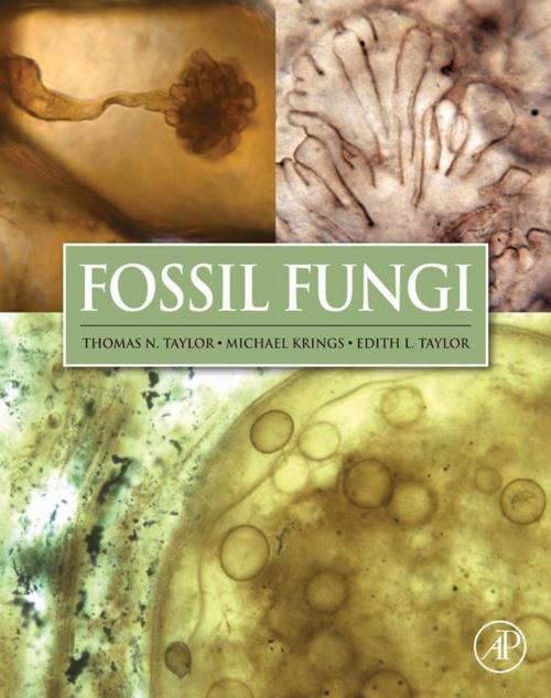 Cover of the book Fossil Fungi by Thomas N Taylor, Michael Krings, Edith L. Taylor, Elsevier Science