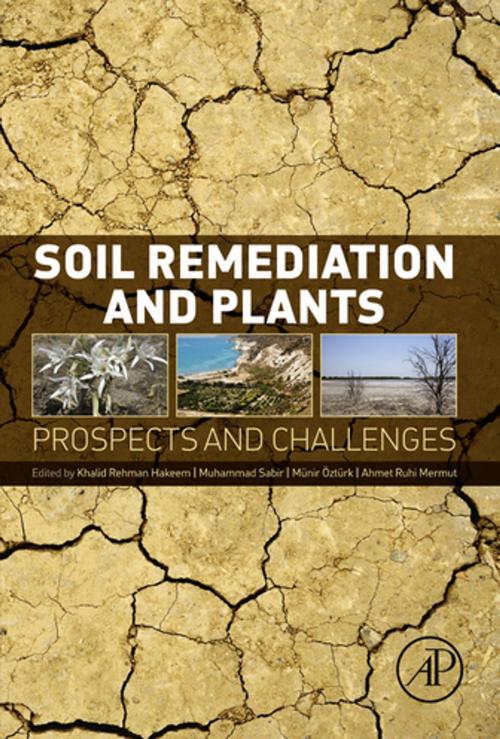 Cover of the book Soil Remediation and Plants by , Elsevier Science