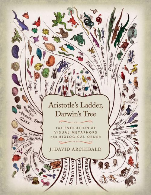 Cover of the book Aristotle's Ladder, Darwin's Tree by J. David Archibald, Columbia University Press