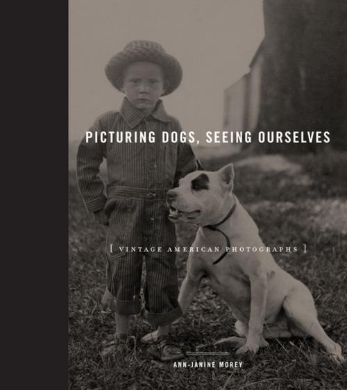Cover of the book Picturing Dogs, Seeing Ourselves by Ann-Janine Morey, Penn State University Press