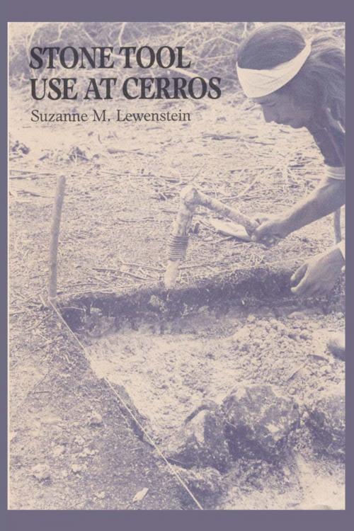 Cover of the book Stone Tool Use at Cerros by Suzanne M. Lewenstein, University of Texas Press